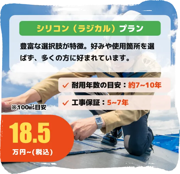 シリコン（ラジカル）プラン