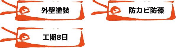 外壁塗 装防カビ防藻 工期8日